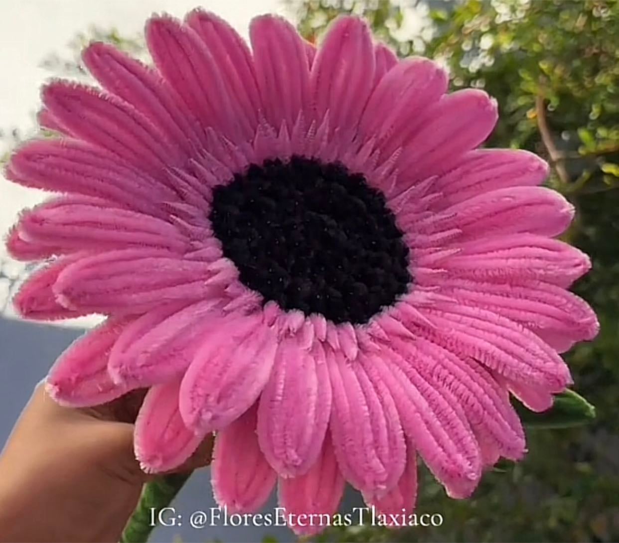 gerbera gigante - (Parte 1)