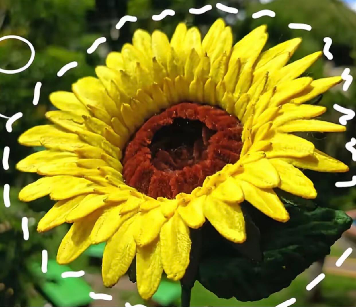 girasol planchado realista