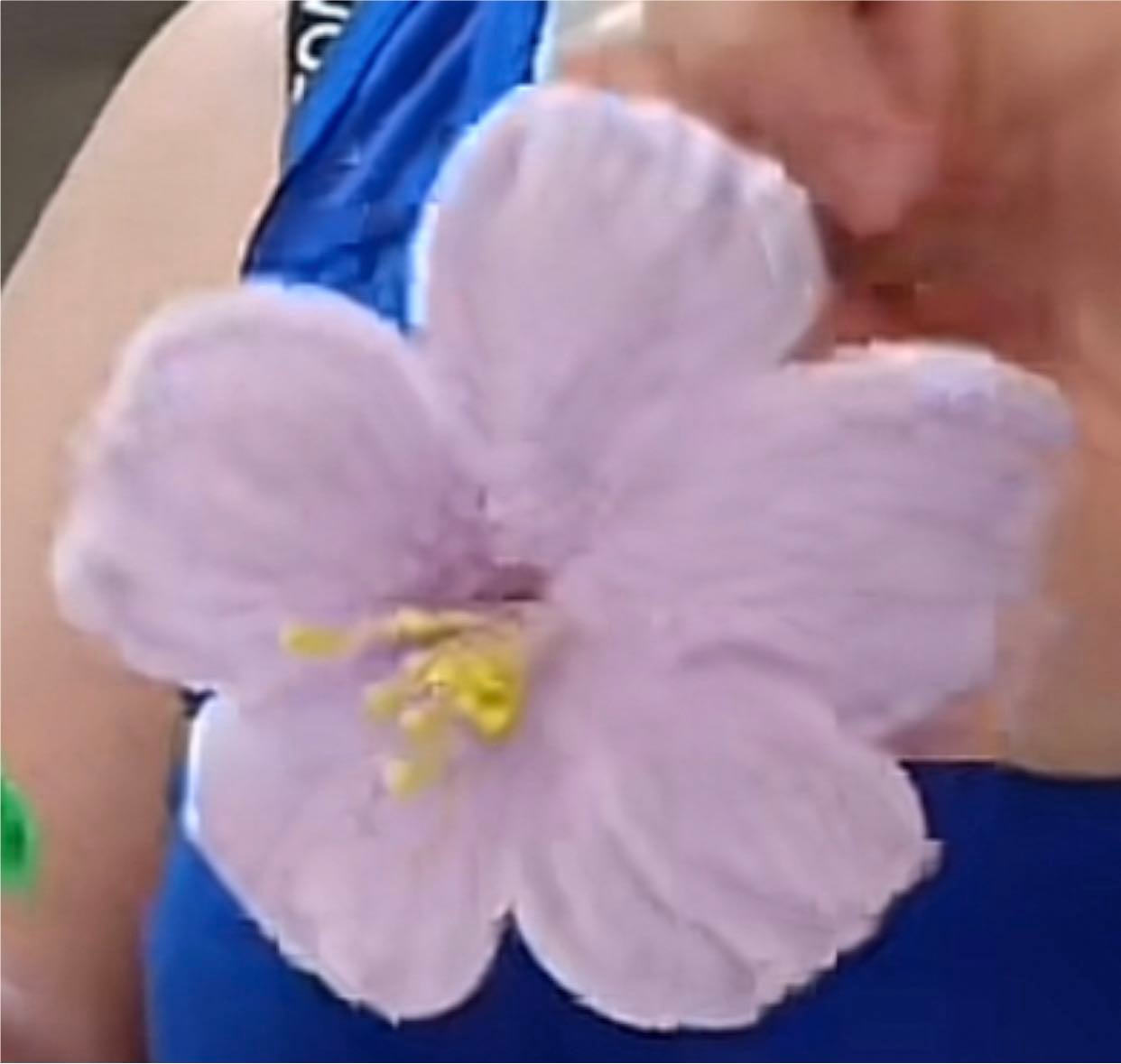Azalea 4