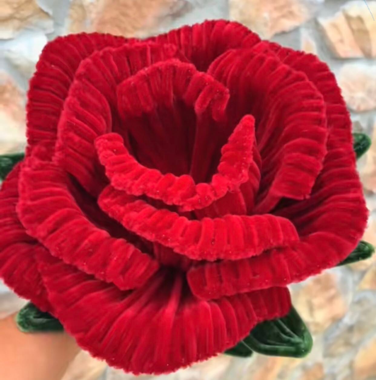 rosa gigante - Estilo -