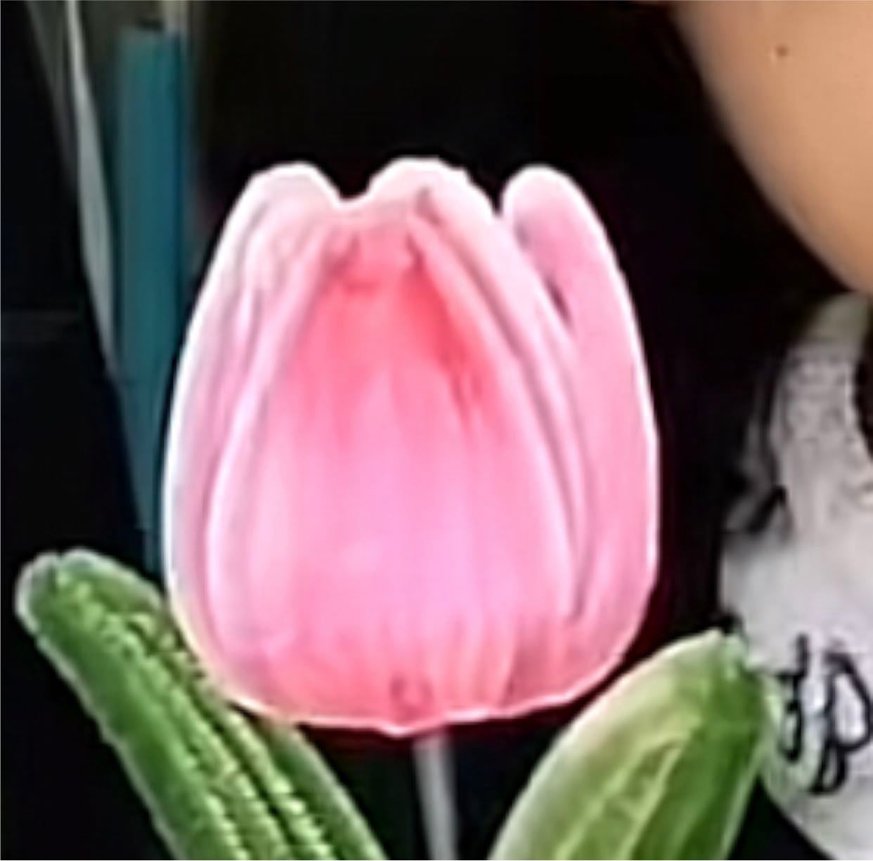 Estilo 3 - 6 petalos