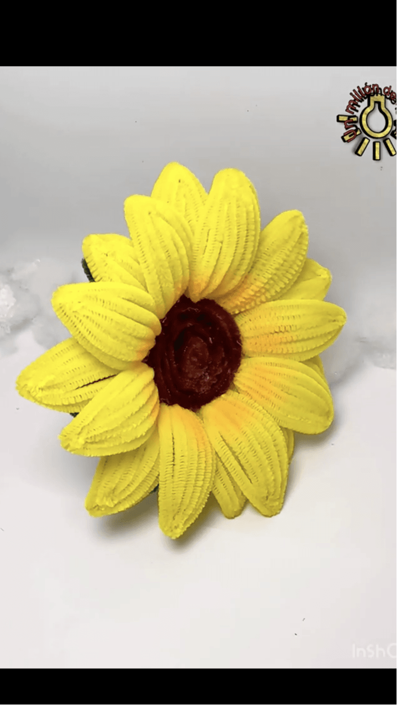 Girasol-YouTube