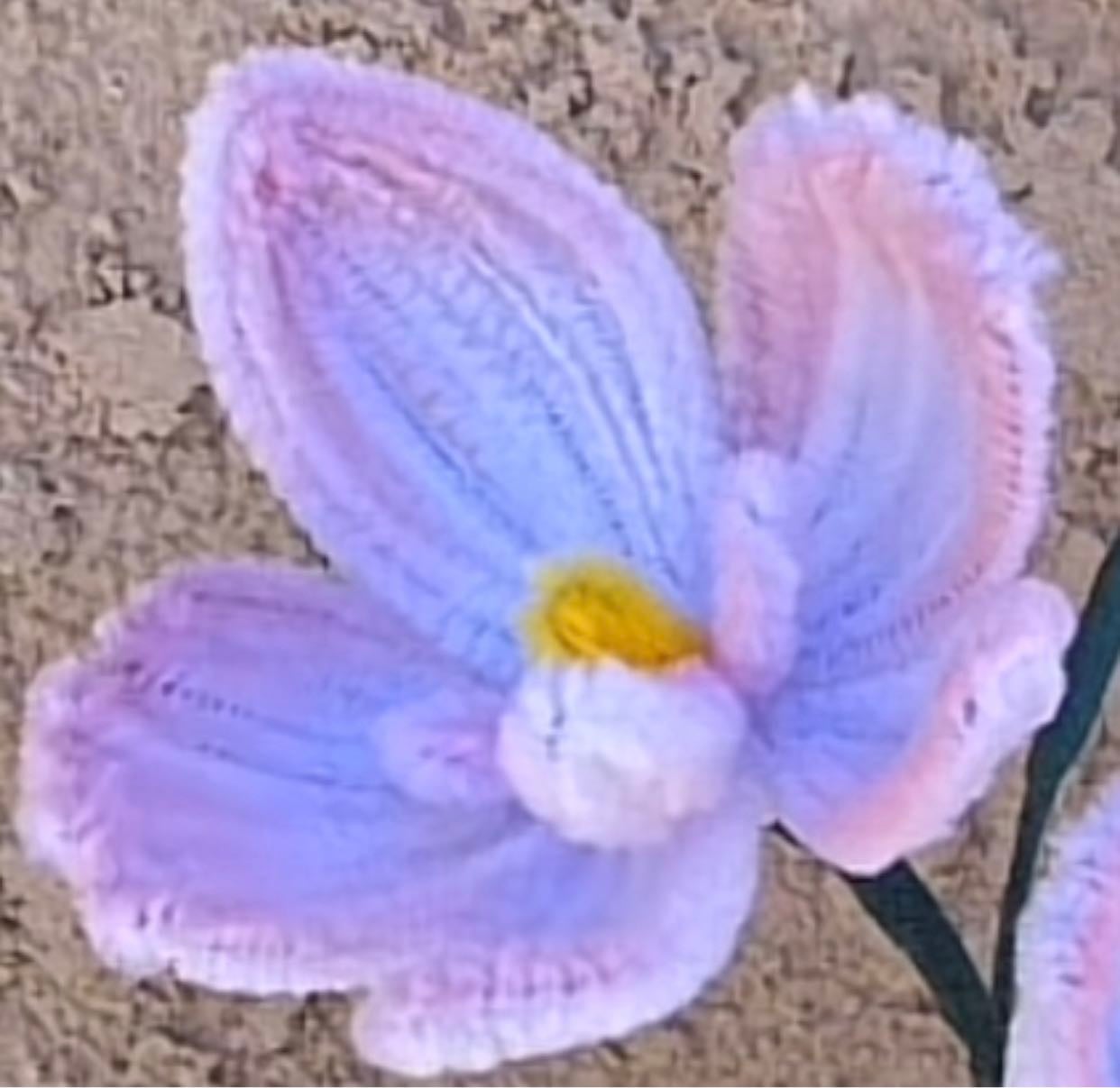 Orquídea mediano