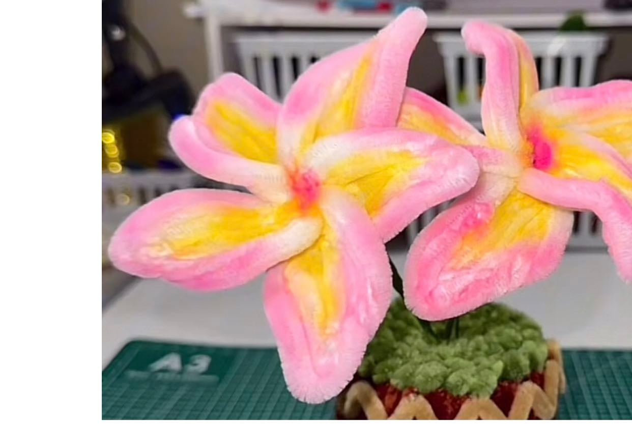 Plumeria 3