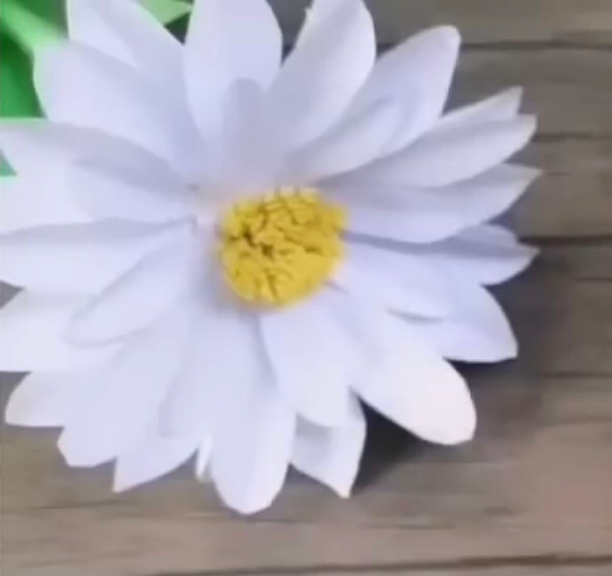 - YouTube