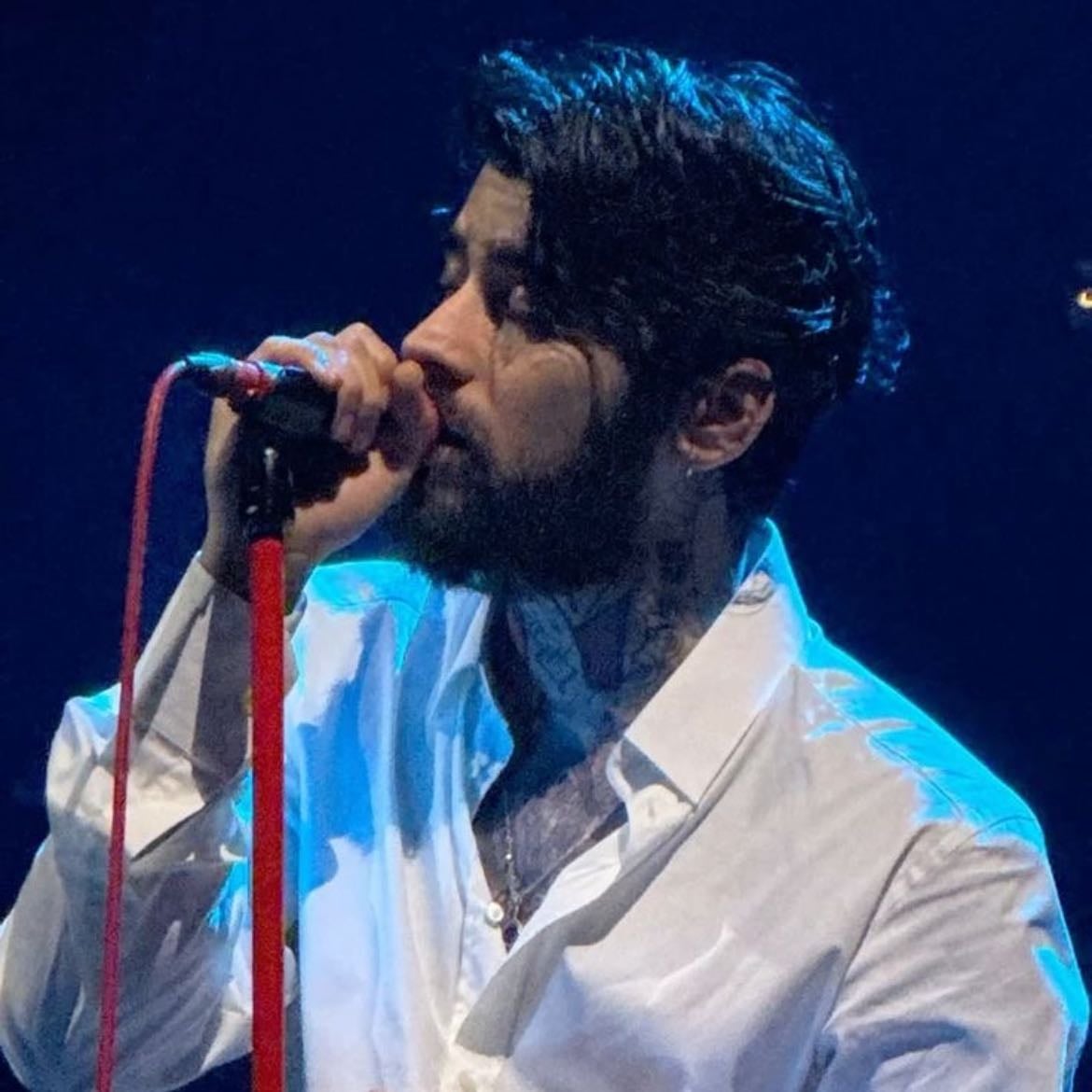 Zayns website