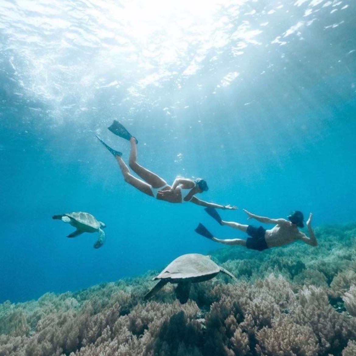 go scuba diving‼️