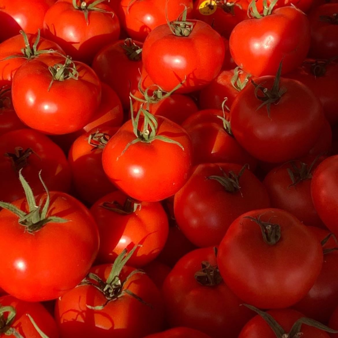 slurp🍅