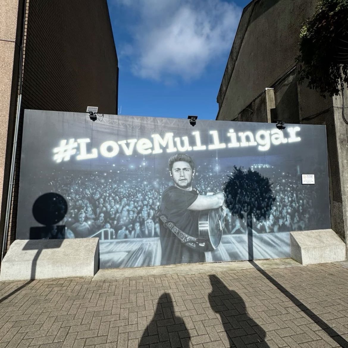 Niall mural - Dominick street