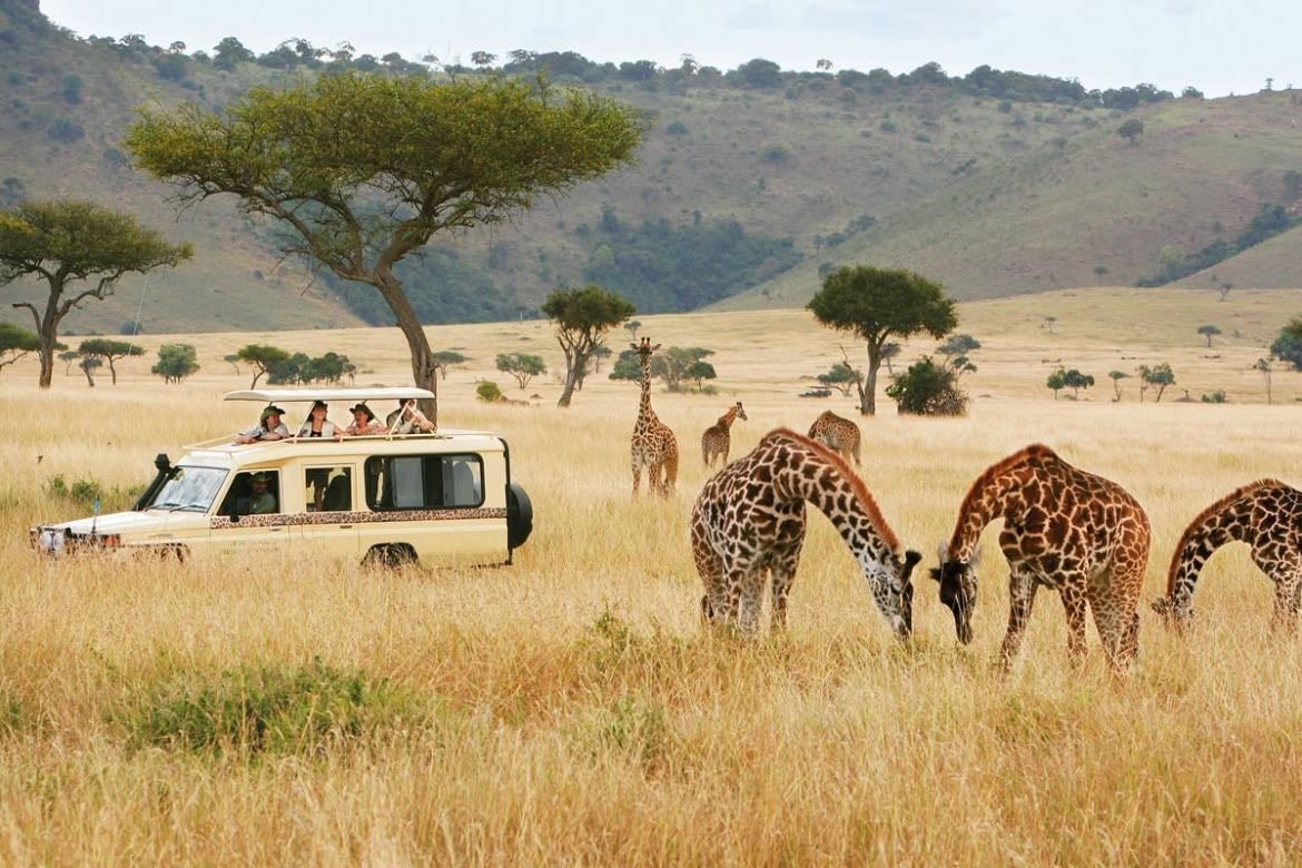 Photographing wildlife - in a safari 😔