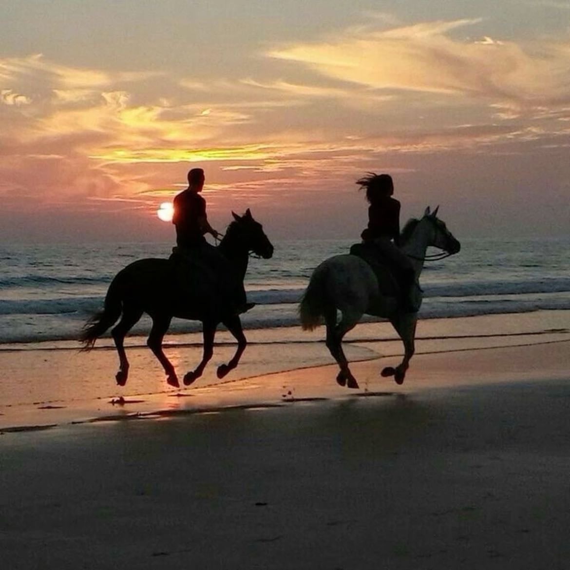 Riding a horse by the ocean
