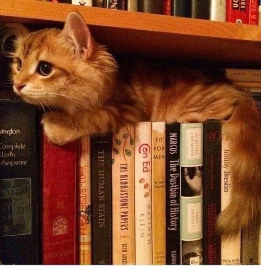 Books 📚📖 - Books hypelist by Mely