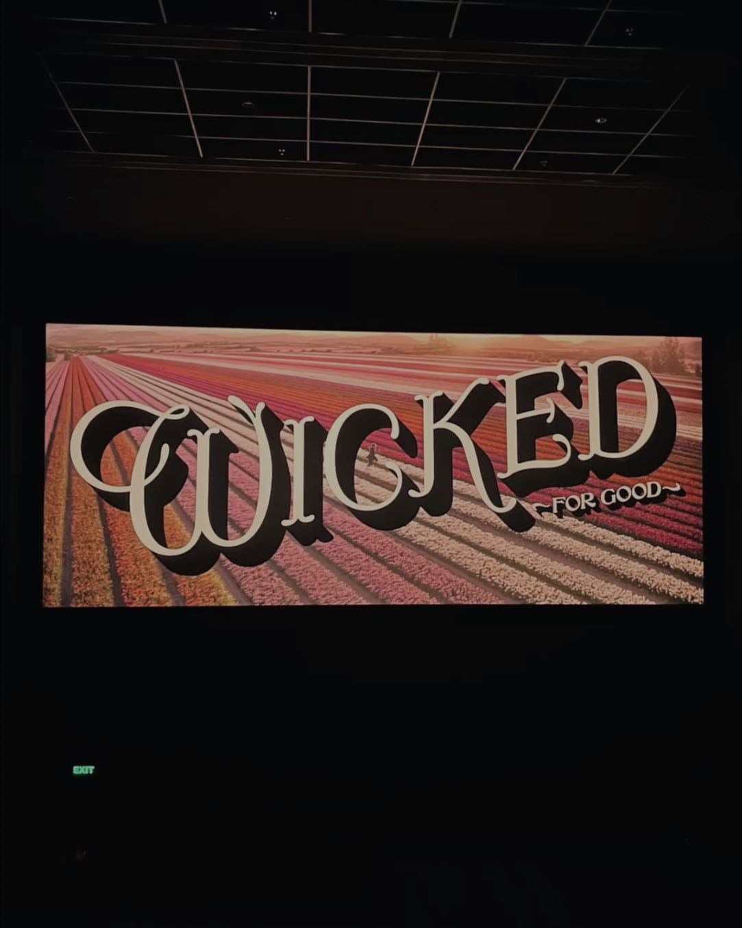 Wicked : Partie II - Jon M. Chu · 2025