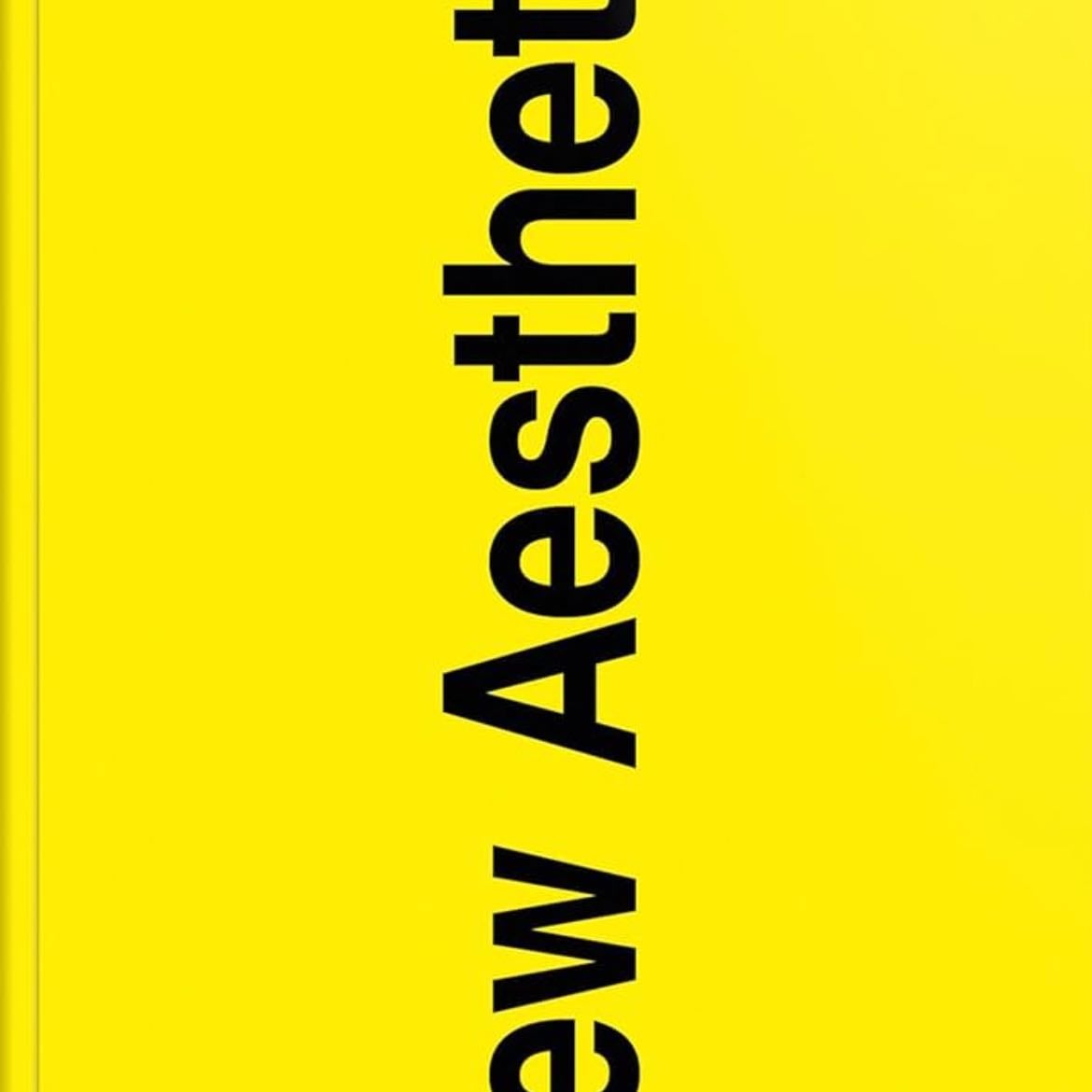 New Aesthetic 1 - Leonhard Laupichler, Sophia Brinkgerd · 2023
