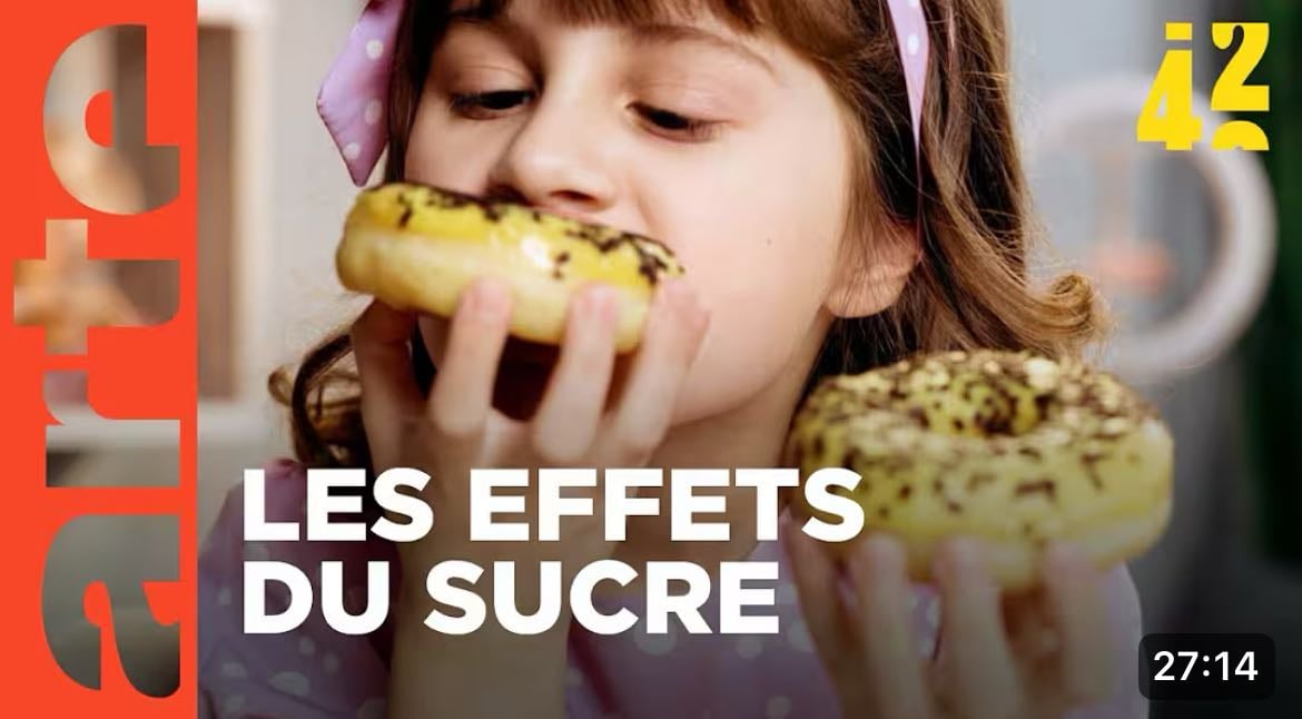 Le sucre nous rend-il bêtes ? - ARTE