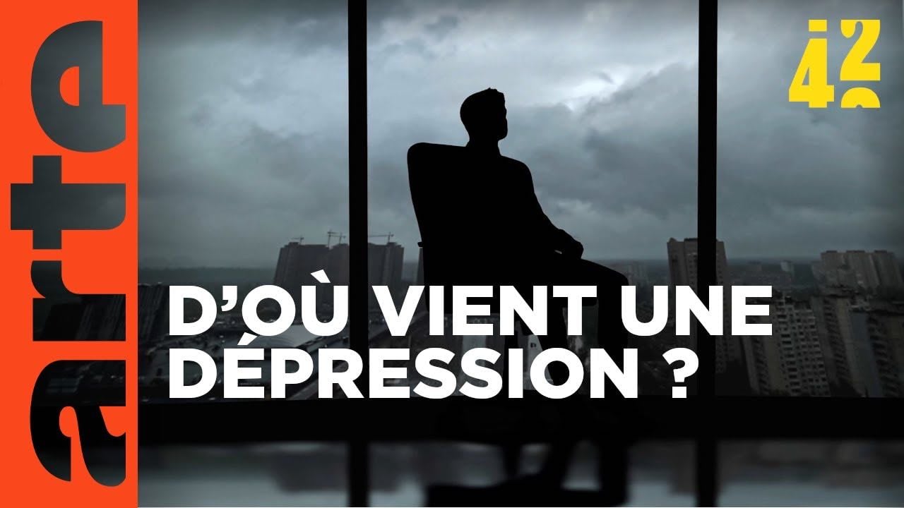 Qu’est-ce qui nous rend dépressifs ? - ARTE