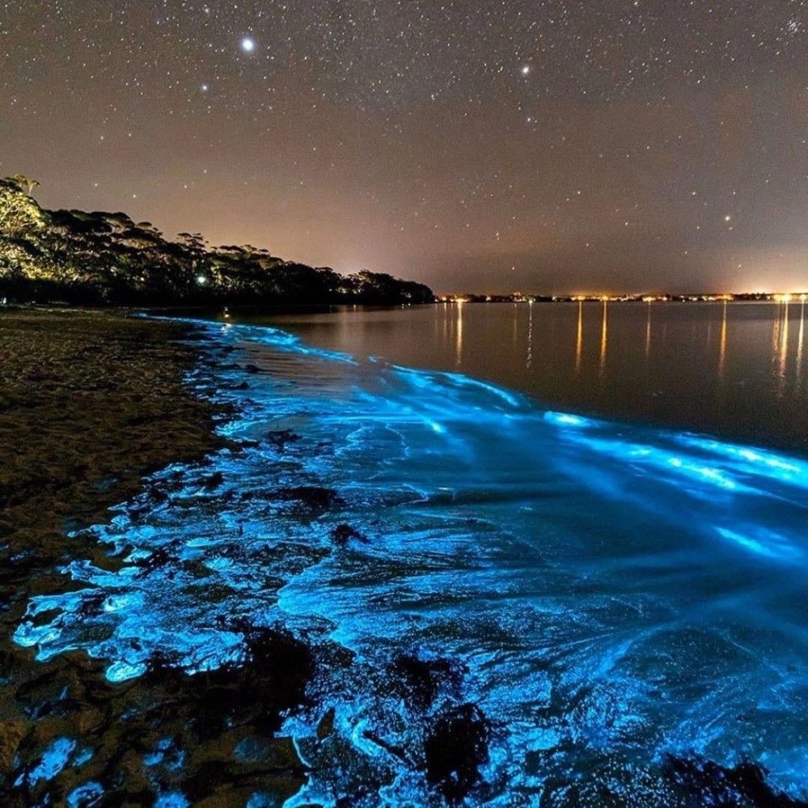 vaadhoo island, maldives - bioluminescence beach