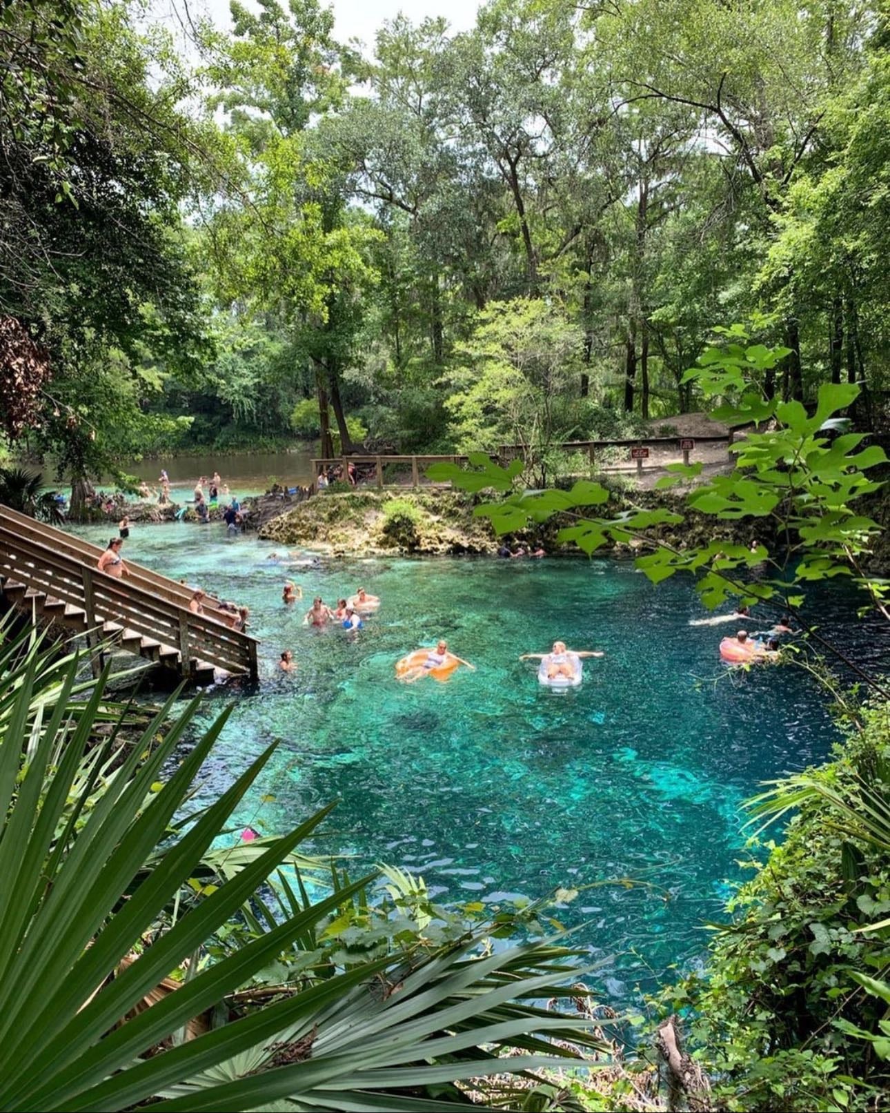 Blue Springs, New Zealand