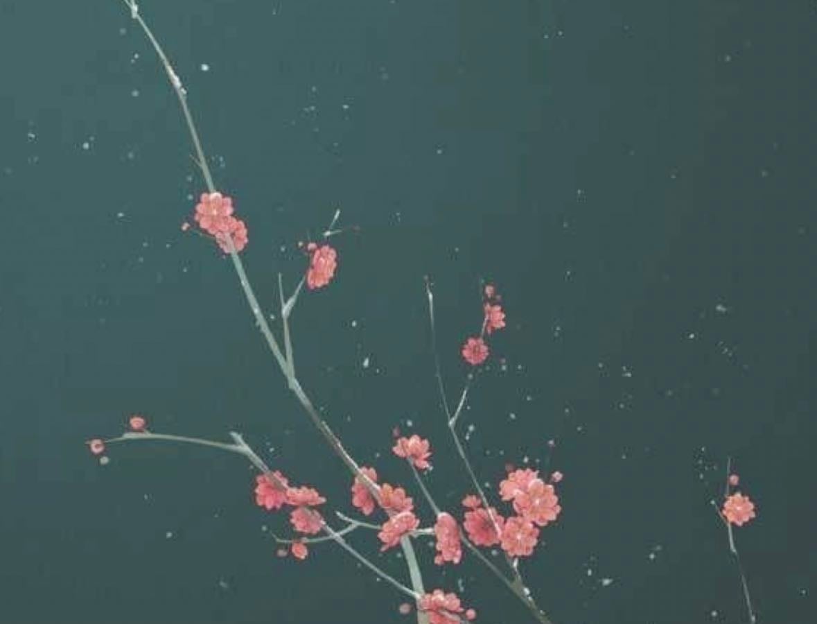 Doramas 🌊