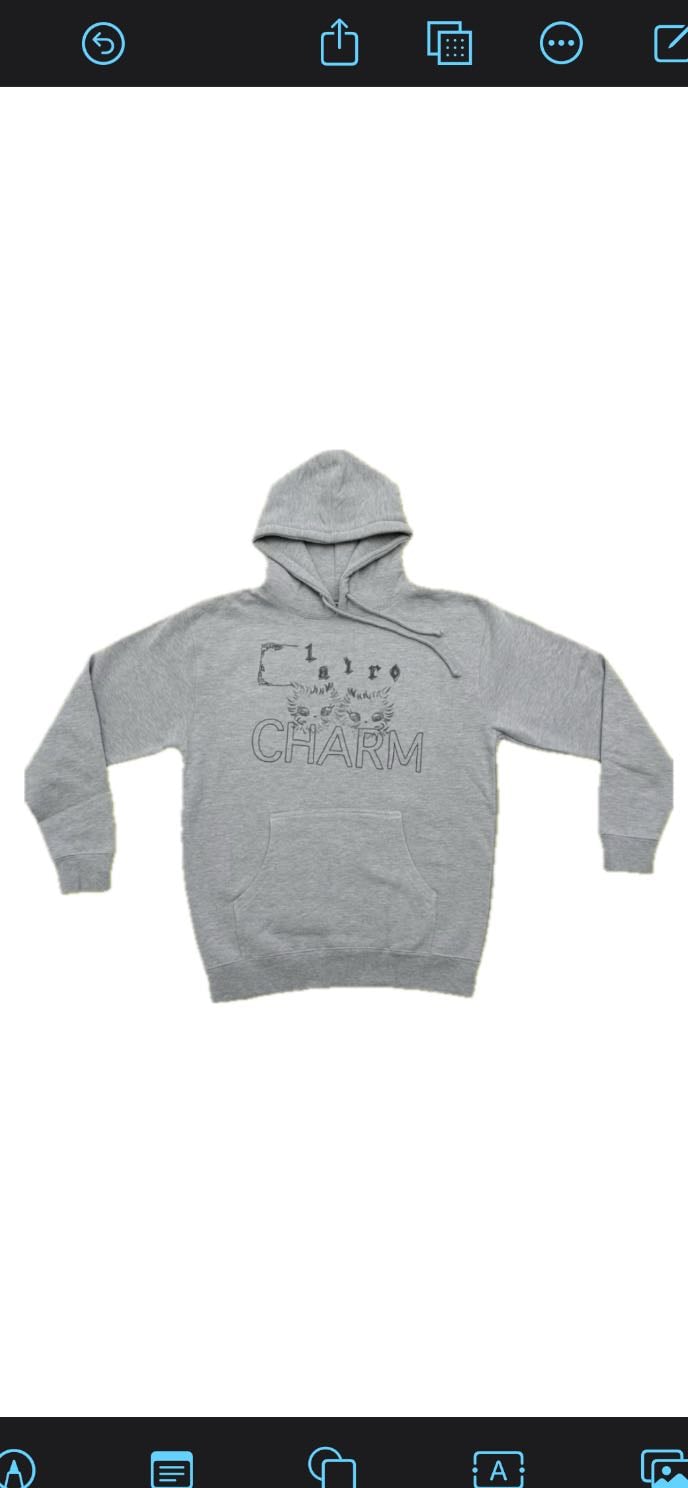 clairo charm hoodie