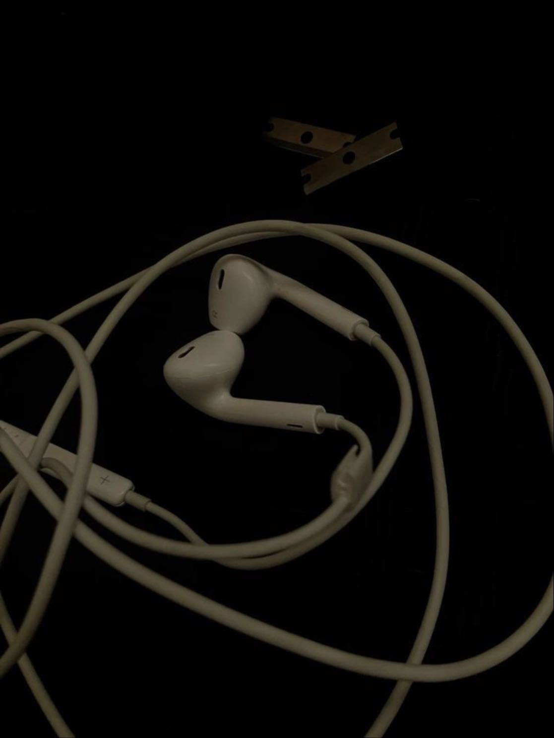 wired earphones