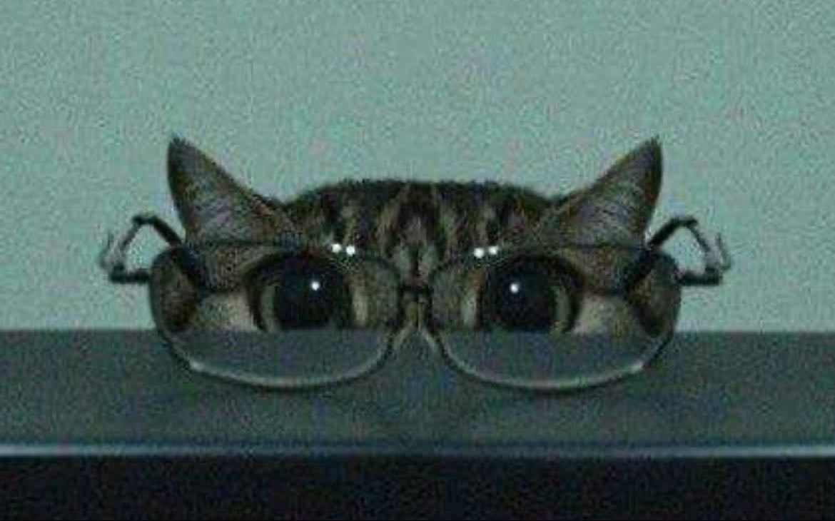 glasses