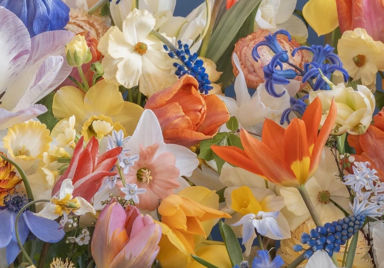 Pretty flowers and their meanings