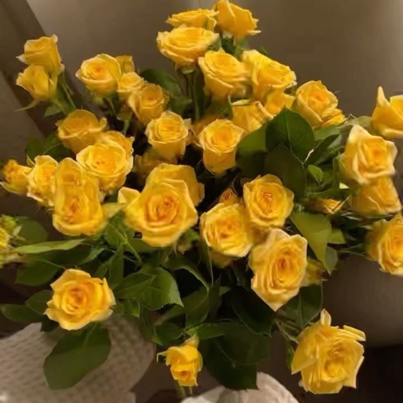 Yellow Roses - Warmth and affection