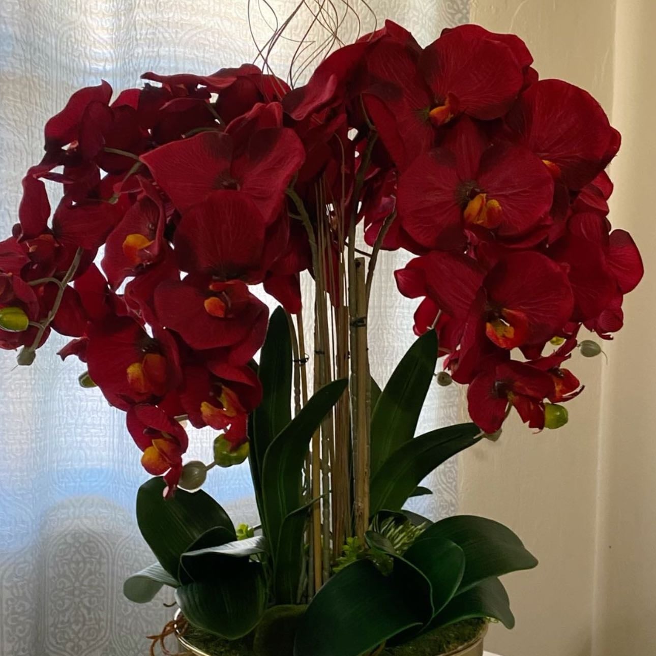 Red orchids - Love and courage