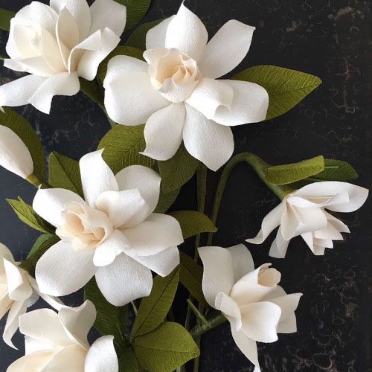 Southern Blossom - Purity and sweetness