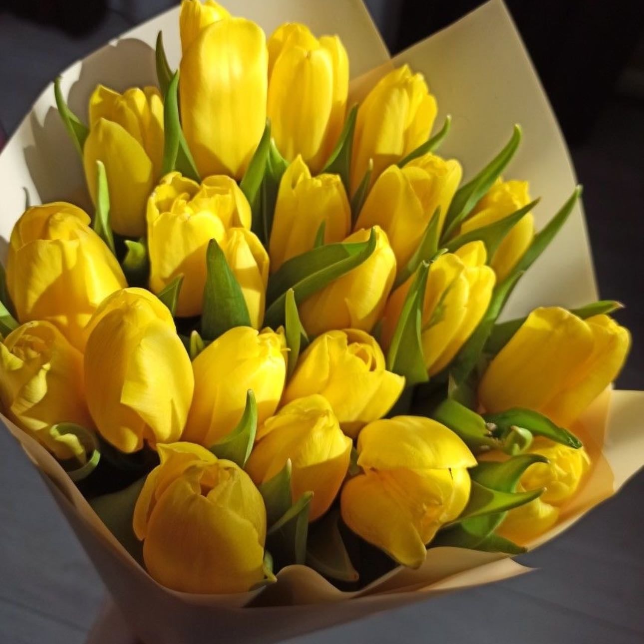 Yellow tulips - Transmission of happiness