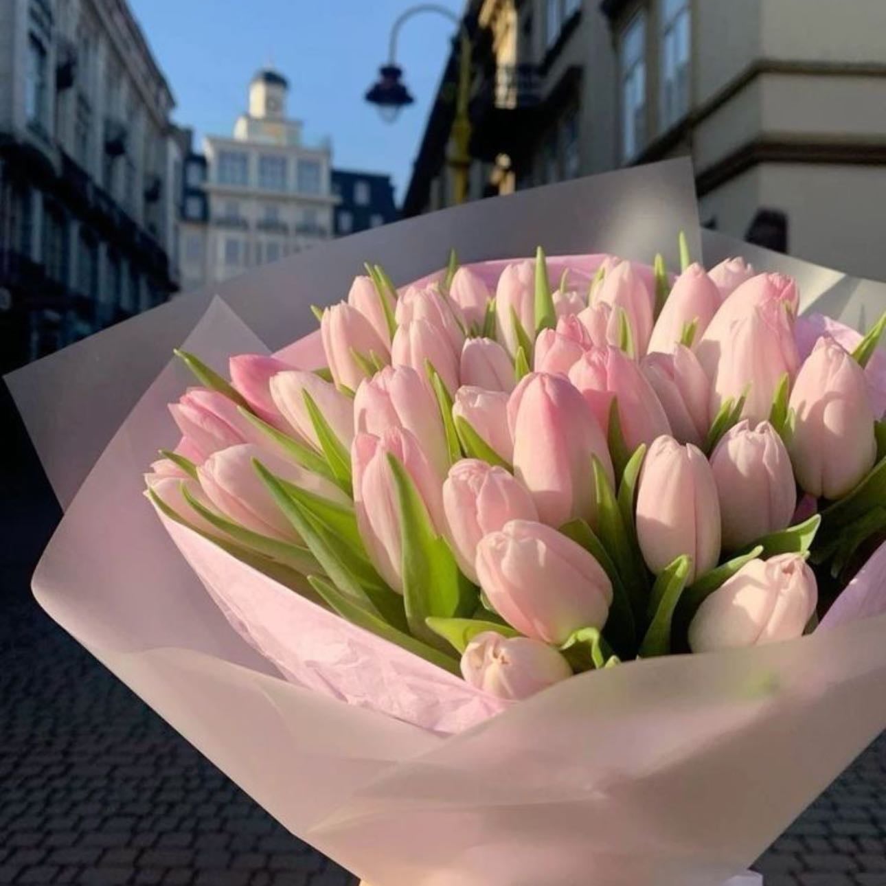 Pink tulips - Good wishes to family or friends , love but not for a lover