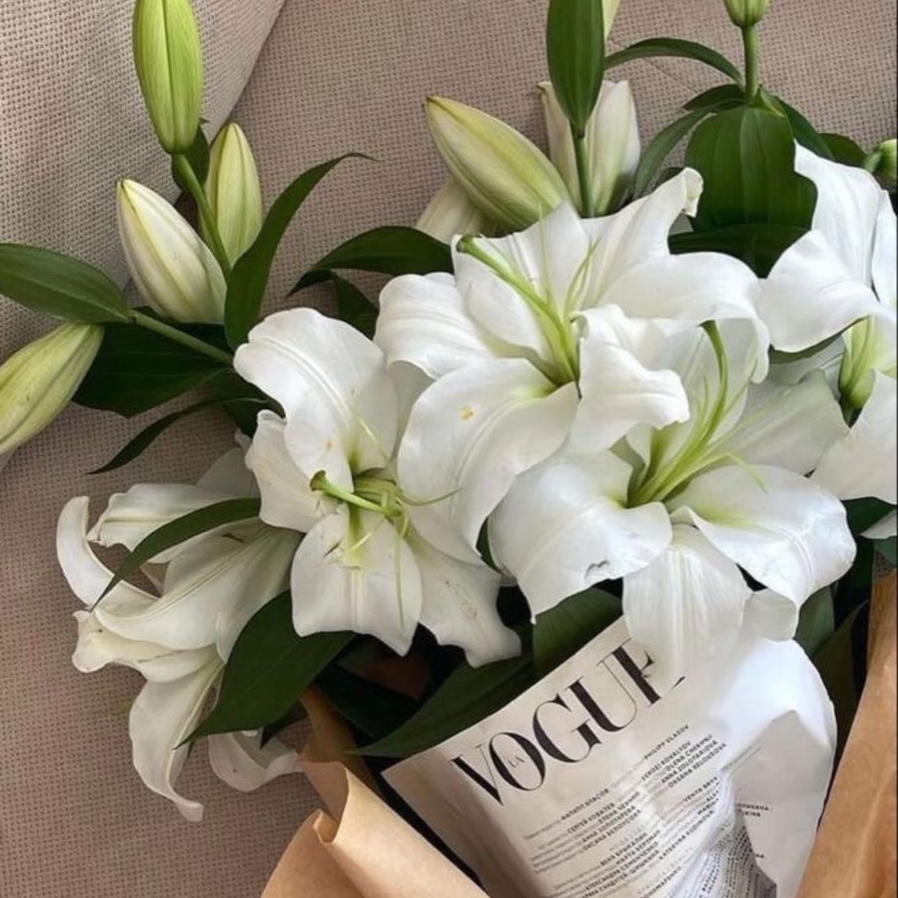 White Lilies - Peace, condolences, reborn and purity