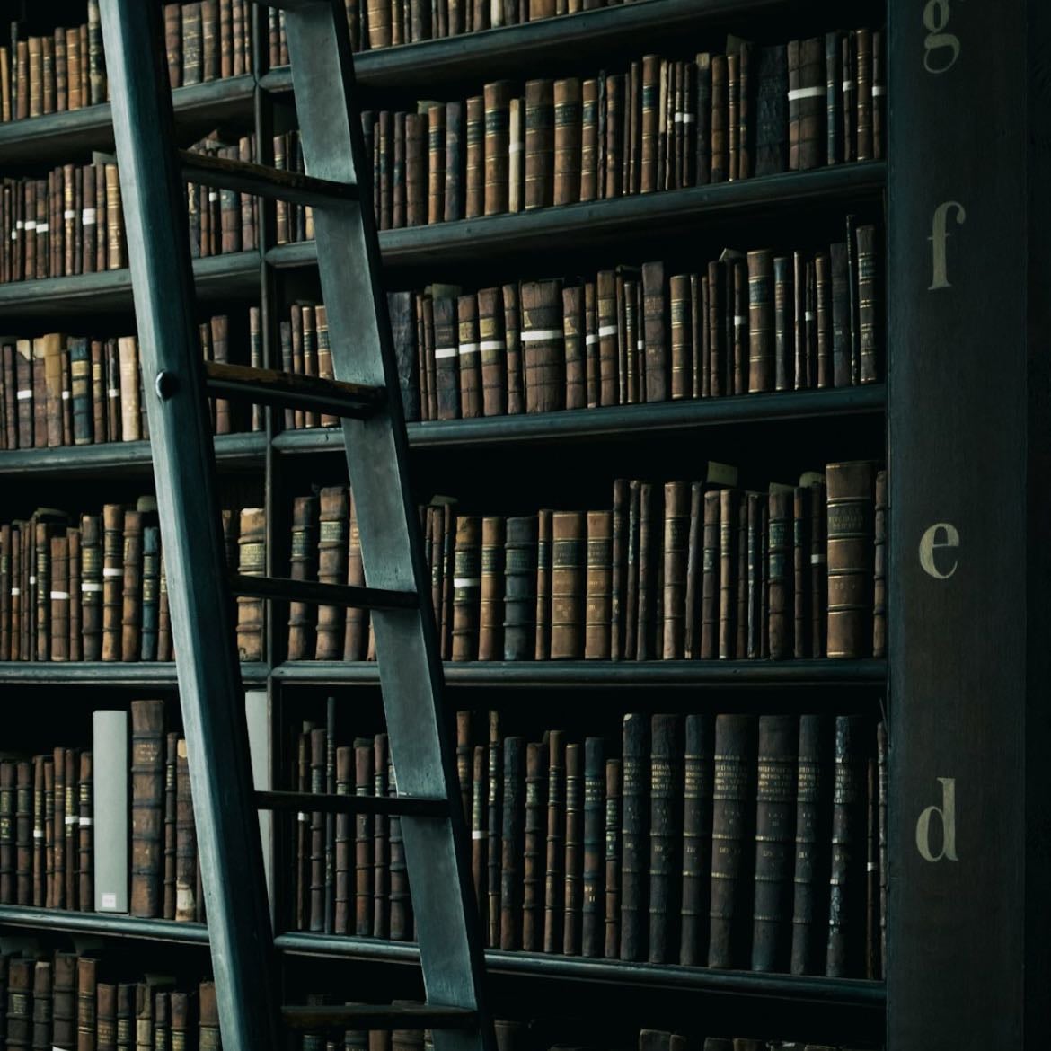 Biblioteca