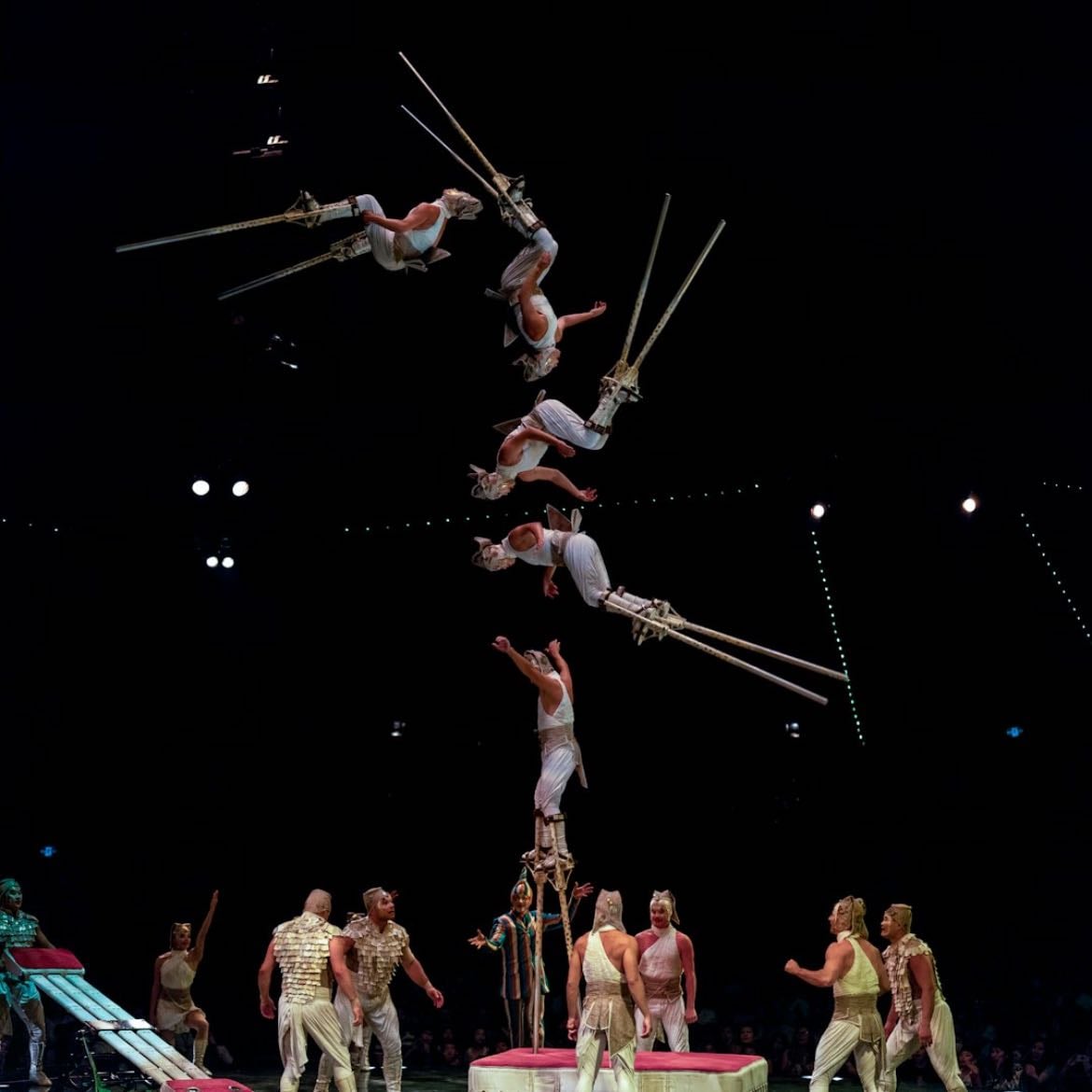 Circo