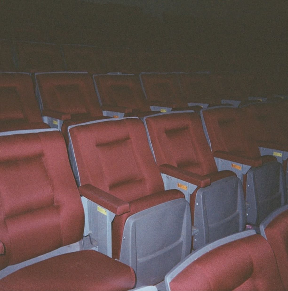 Movies to watch