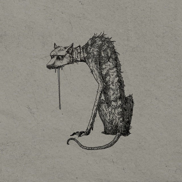 Dog's Dinner - Song 路 SOFIA ISELLA