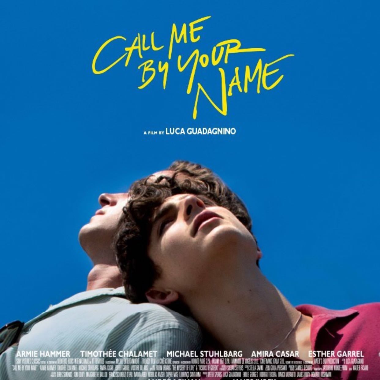 Call Me by Your Name - André Aciman · 2008