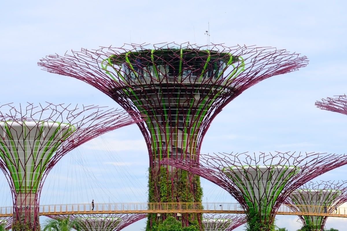 Gardens by the Bay - at night