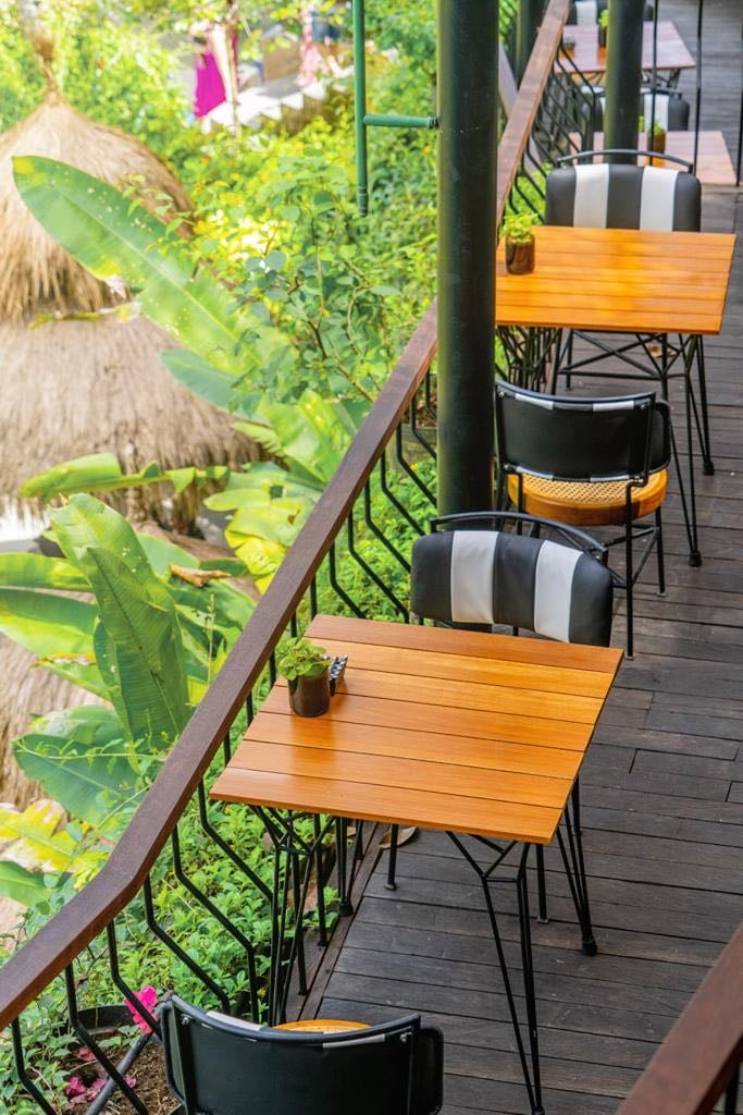 Cretya Jungle
