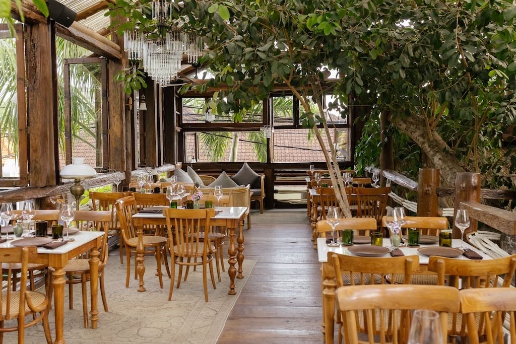Woods - tree house vibes & live jazz music
