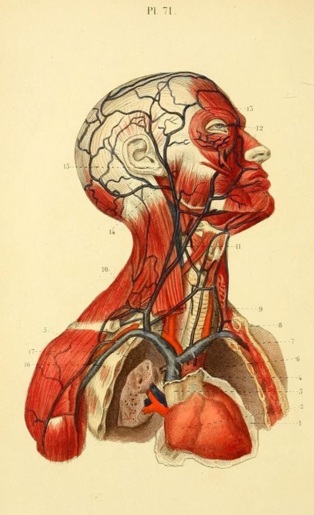 Biologia - quanto mais ciência eu estudo, mais eu me aproximo dEle