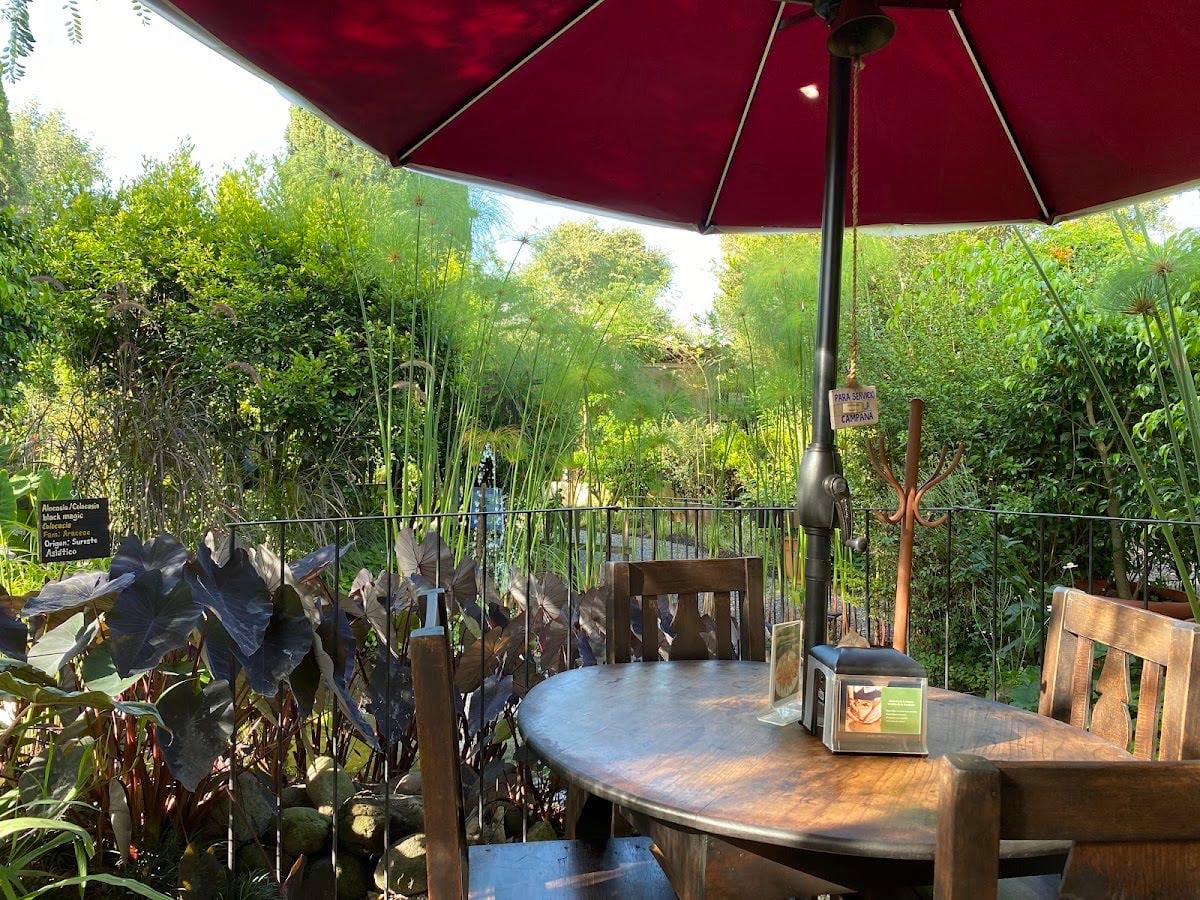Vivero y café de La Escalonia