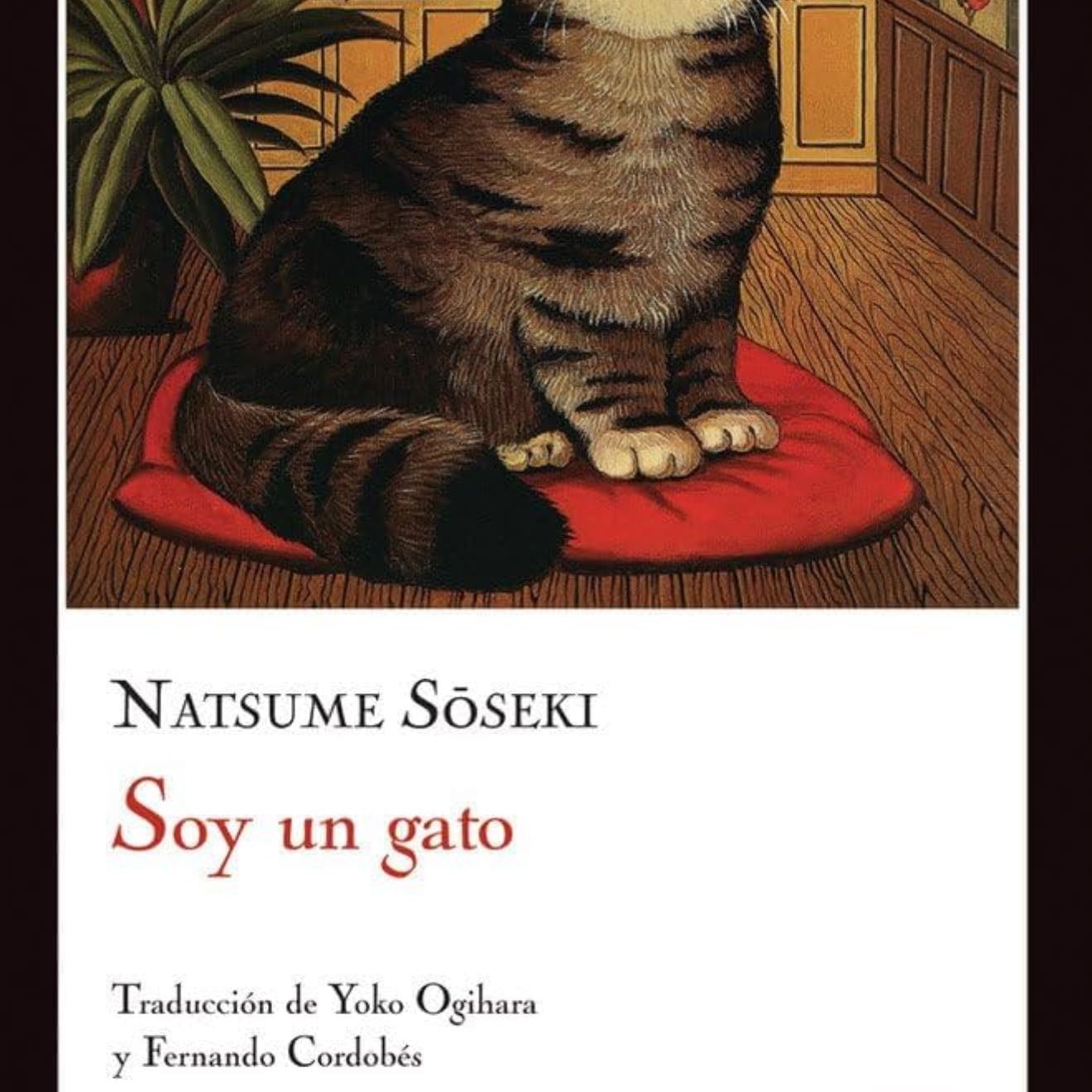 soy un gato
