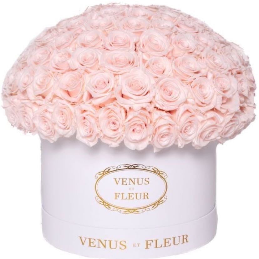 Flores