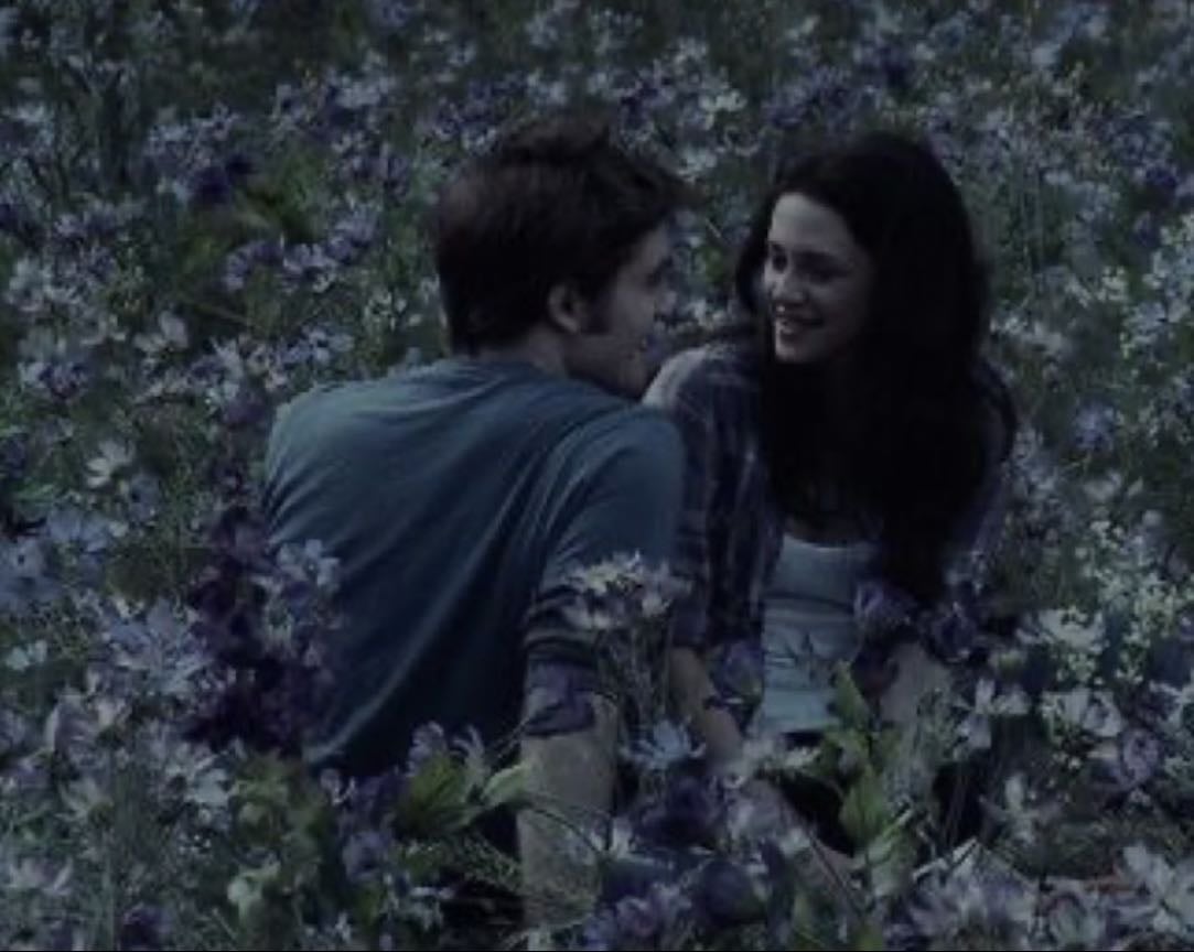 Twilight - Catherine Hardwicke · 2008