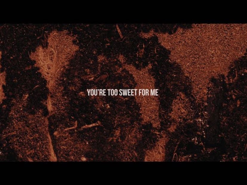 Too Sweet - Song · Hozier