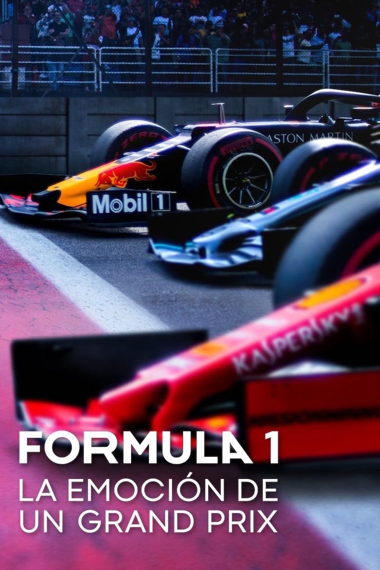 Formula 1: Drive to Survive - James Gay-Rees · 2019