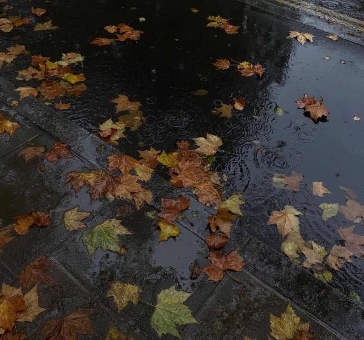 My fav fall films - Movies hypelist by Tamiya Fletcher
