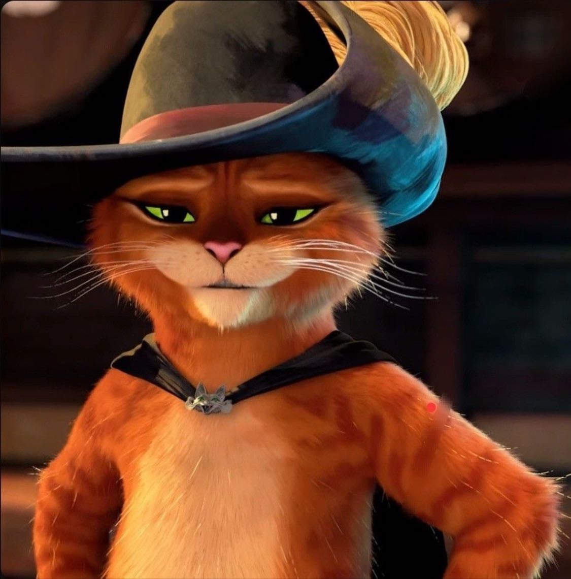 gato con botas
